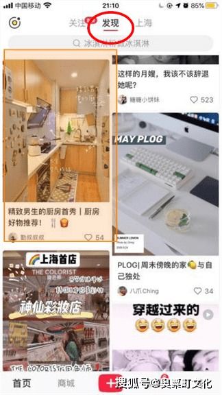 一、 种草的定义与特点