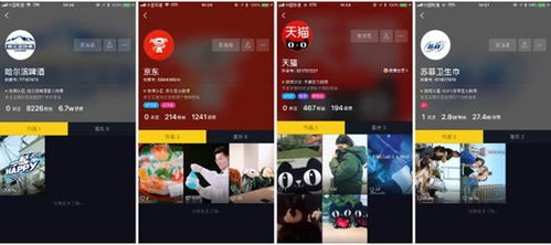 一、品牌形象塑造：奠定成功基础