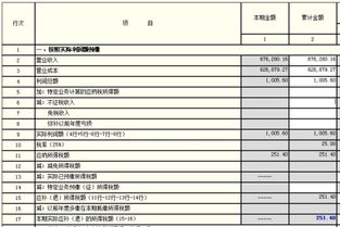 三、 年度纳税申报表