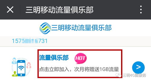 视频号新号直播通常需要每天坚持直播，才Neng逐渐获得流量