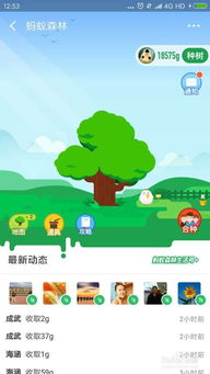 蚂蚁森林的公益价值：不仅仅是种树