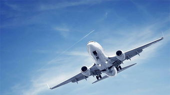 运力资源：确保运输效率