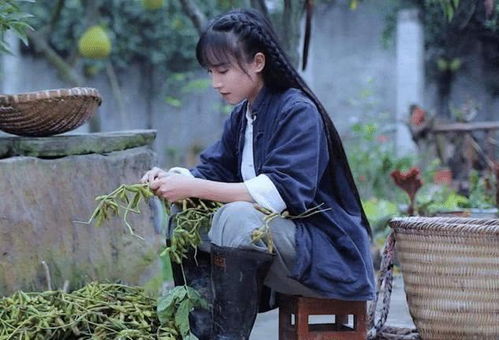 农村网红的未来：从直播带货到电商基地