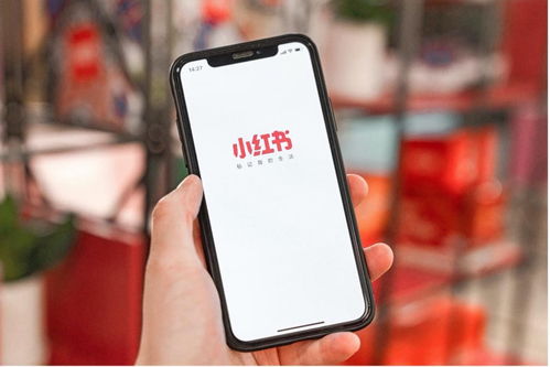 4. 搭建个人品牌