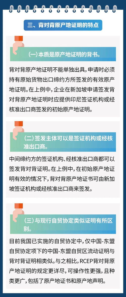 申报模板的核心要素：从编码适配到标准逻辑嵌套
