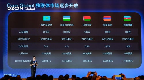 针对中国卖家的服务