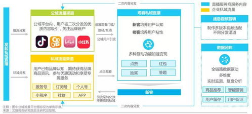 3. 提升直播内容质量