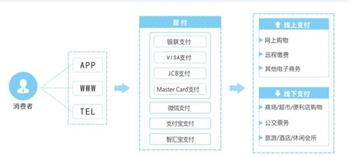 国际信用卡支付