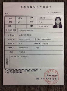 3. 提供手机号码用于验证身份