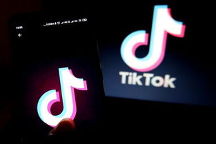 一、 Tiktok TSP服务商的定义与角色