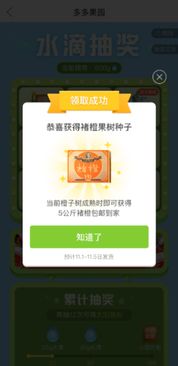 拼多多新品扶持期概述