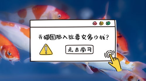 天猫商家入驻需要什么条件？要Zuo什么准备？