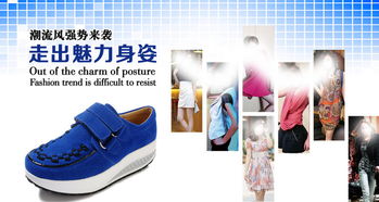 一、 淘宝女鞋批发的市场现状