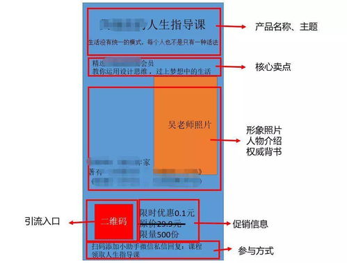 案例分析：XX科技公司成功注册SRL类型有限责任公司