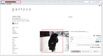 1. 盗图举报与防范措施