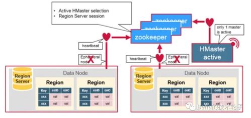 增值税的计税原理及税率结构