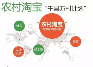 二、 淘宝网站运营模式取得成功的主要原因及启示