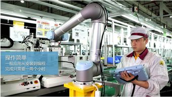 分拣流程中的智Neng化协作