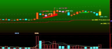 一、快手1000播放量算养号成功吗？