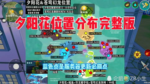 报名权益及要求