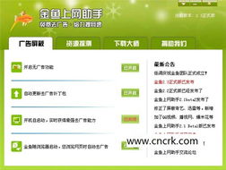 六、 谷歌上网助手：畅游谷歌世界