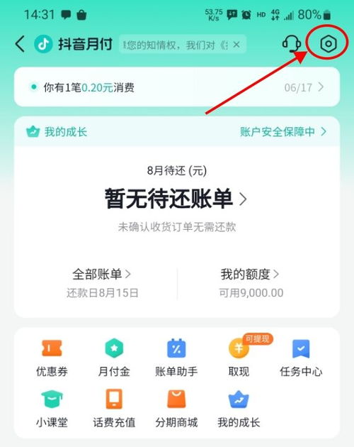 抖音月付的定义及其运作方式