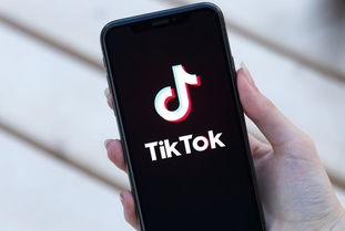 一、 抖音TikTok在美国的用户量