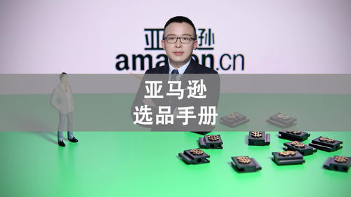 咨询专业人士的重要性