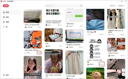 二、 商家版PC端官方下载步骤
