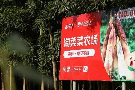 一、 合作意向与数字农业的融合