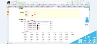 二、 天猫开店入驻审核流程概述