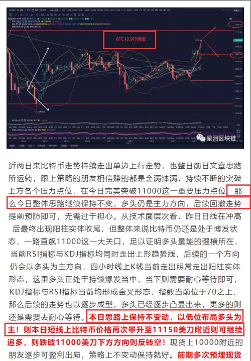 动态博弈筹码：从货量承诺到航线捆绑