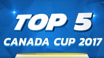 3. Canpar：个性化服务专家