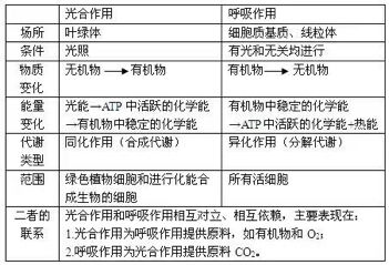 3. 风险上报与协作