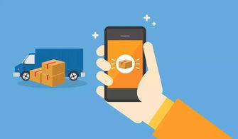 一、 Ozon平台物流延误的原因分析