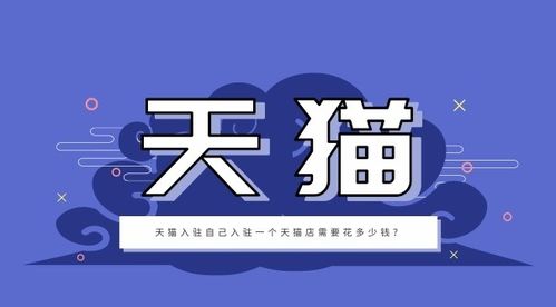 四、天猫商城技术服务费及额外费用