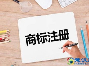 商标注册后的管理与维护