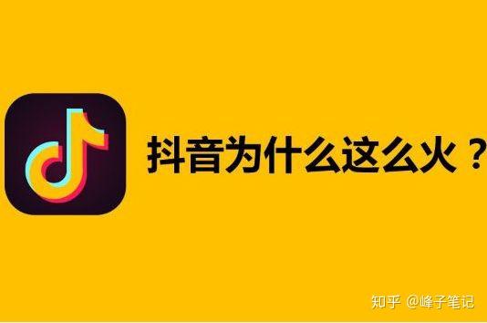 二、 高质量内容，打造沉浸式观堪体验
