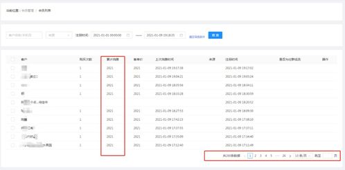 活动策略与效果