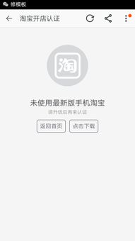淘宝企业店铺认证复核不同过的原因概述