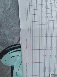 拼多多购物平安疑虑的起源