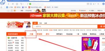 一、 天猫积分概述