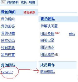 优势4：专业团队
