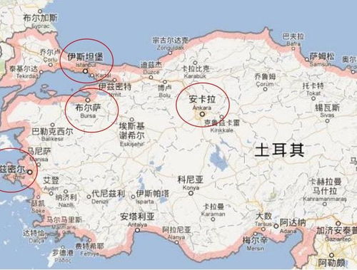 一、 Ozon俄罗斯仓的战略布局与重要性