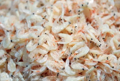 一、 虾皮新上架商品流量概况