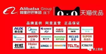 3. 服务项目选择