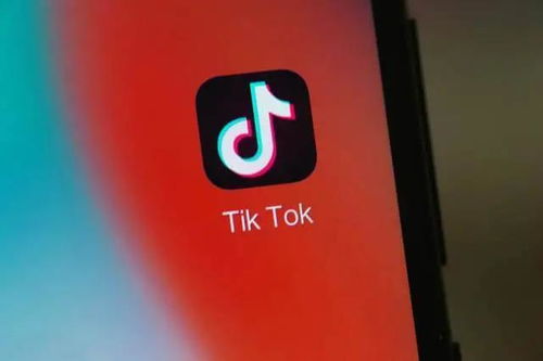 六、 TikTok公会入驻要求