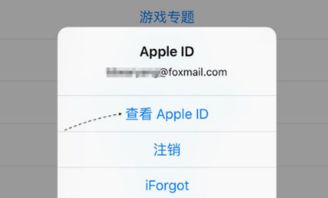 3. 设置合理的消费限额
