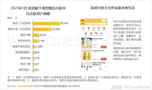 2. 社交媒体流量