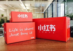 一、 入驻流程概述